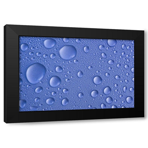 Close-up of frozen water drops Black Modern Wood Framed Art Print with Double Matting by Paulson, Don