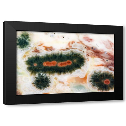Ocean jasper stone found in Madagascar Black Modern Wood Framed Art Print by Kirkland, Dennis
