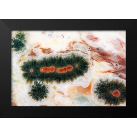 Ocean jasper stone found in Madagascar Black Modern Wood Framed Art Print by Kirkland, Dennis