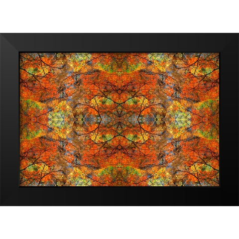 Autumn tree abstract Black Modern Wood Framed Art Print by Jaynes Gallery