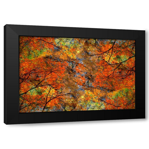 Autumn tree abstract Black Modern Wood Framed Art Print with Double Matting by Jaynes Gallery