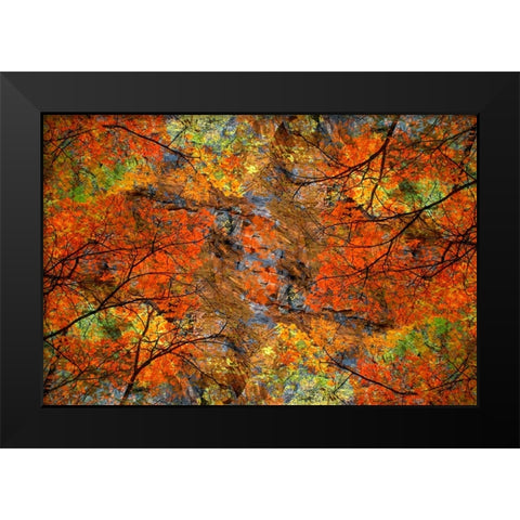 Autumn tree abstract Black Modern Wood Framed Art Print by Jaynes Gallery