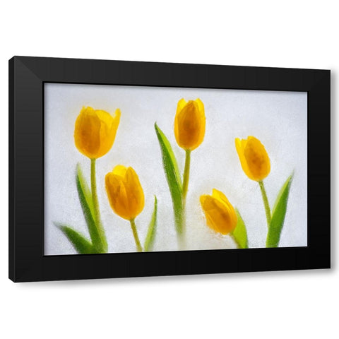 Tulips in ice Black Modern Wood Framed Art Print by Jaynes Gallery