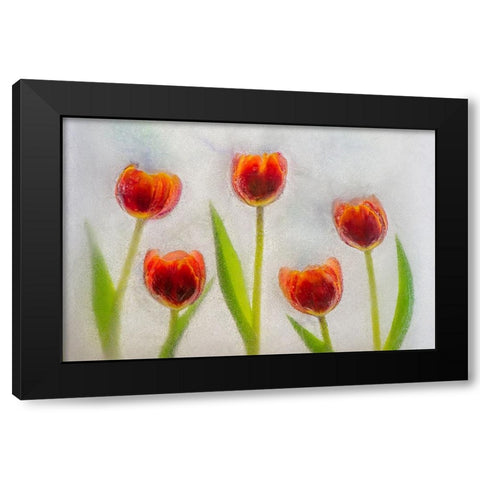 Tulip in ice Black Modern Wood Framed Art Print by Jaynes Gallery