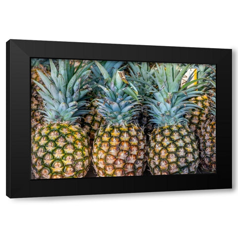 Sugarloaf pineapple Black Modern Wood Framed Art Print with Double Matting by Engelbrecht, Jim