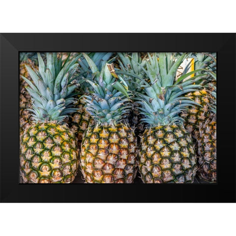 Sugarloaf pineapple Black Modern Wood Framed Art Print by Engelbrecht, Jim