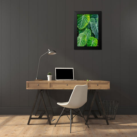 Anthurium foliage Black Modern Wood Framed Art Print by Engelbrecht, Jim