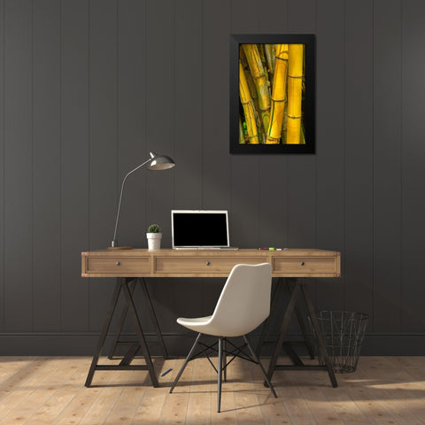 Detail of golden bamboo Black Modern Wood Framed Art Print by Engelbrecht, Jim