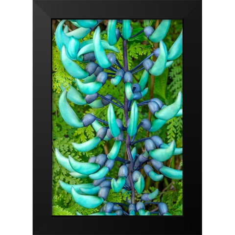 Jade vine Black Modern Wood Framed Art Print by Engelbrecht, Jim