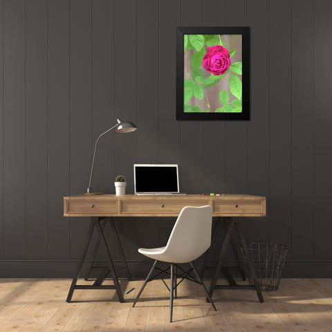 Rose Black Modern Wood Framed Art Print by Wild, Jamie and Judy