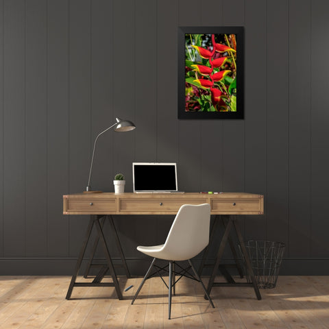 Heliconia Black Modern Wood Framed Art Print by Engelbrecht, Lisa S.