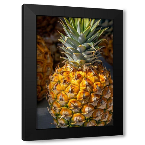 Sugarloaf pineapple Black Modern Wood Framed Art Print with Double Matting by Engelbrecht, Lisa S.
