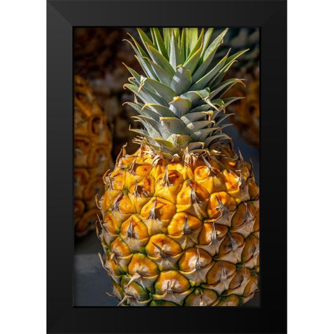 Sugarloaf pineapple Black Modern Wood Framed Art Print by Engelbrecht, Lisa S.