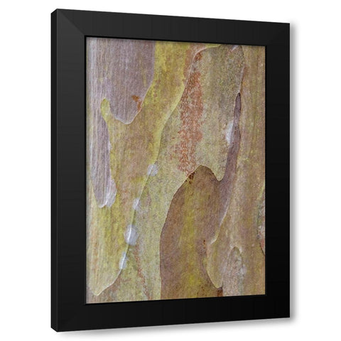 Bark of Crape Myrtle tree Black Modern Wood Framed Art Print with Double Matting by Engelbrecht, Lisa S.