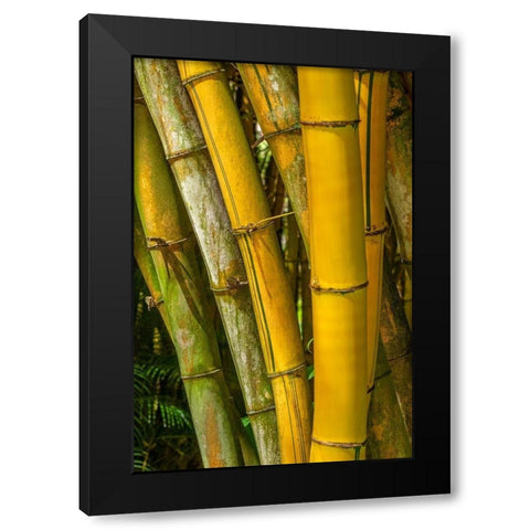 Detail of golden bamboo Black Modern Wood Framed Art Print with Double Matting by Engelbrecht, Lisa S.