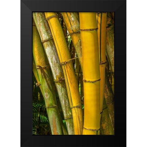 Detail of golden bamboo Black Modern Wood Framed Art Print by Engelbrecht, Lisa S.