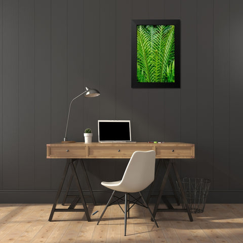 Fern Black Modern Wood Framed Art Print by Engelbrecht, Lisa S.