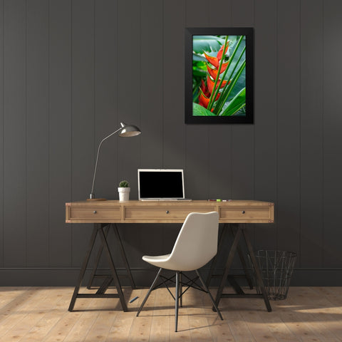 Heliconia Black Modern Wood Framed Art Print by Engelbrecht, Lisa S.