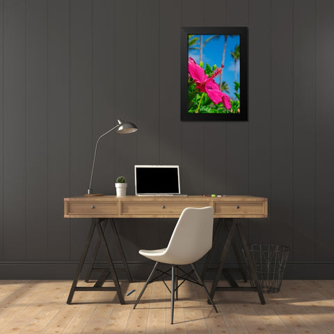 Hibiscus Black Modern Wood Framed Art Print by Engelbrecht, Lisa S.