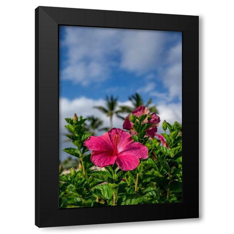 Hibiscus Black Modern Wood Framed Art Print with Double Matting by Engelbrecht, Lisa S.