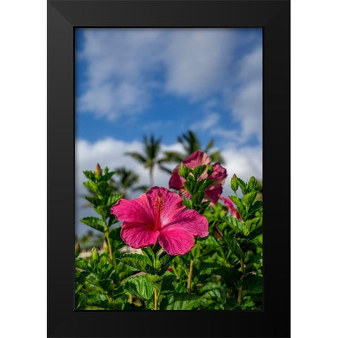 Hibiscus Black Modern Wood Framed Art Print by Engelbrecht, Lisa S.