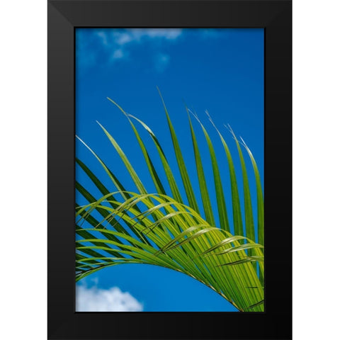 Palm frond Black Modern Wood Framed Art Print by Engelbrecht, Lisa S.