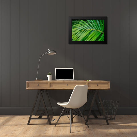 palm frond Black Modern Wood Framed Art Print by Engelbrecht, Lisa S.