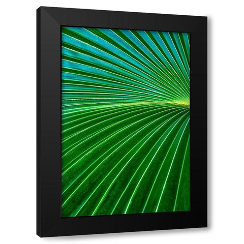 Palm frond Black Modern Wood Framed Art Print by Engelbrecht, Lisa S.