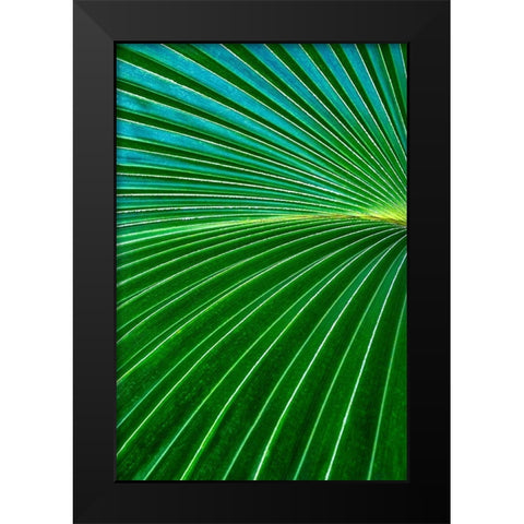 Palm frond Black Modern Wood Framed Art Print by Engelbrecht, Lisa S.