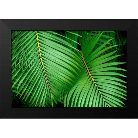 Palm fronds Black Modern Wood Framed Art Print by Engelbrecht, Lisa S.