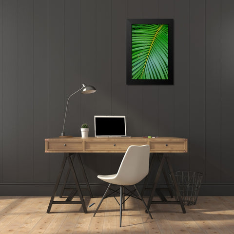 Palm fronds Black Modern Wood Framed Art Print by Engelbrecht, Lisa S.