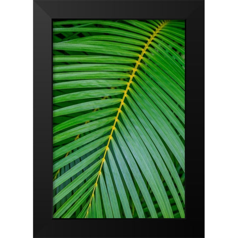 Palm fronds Black Modern Wood Framed Art Print by Engelbrecht, Lisa S.