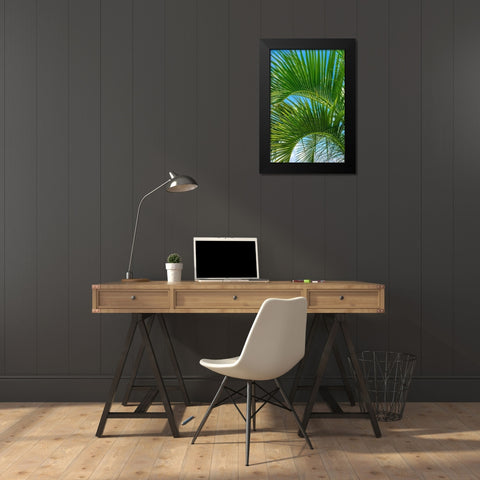 Palm fronds Black Modern Wood Framed Art Print by Engelbrecht, Lisa S.
