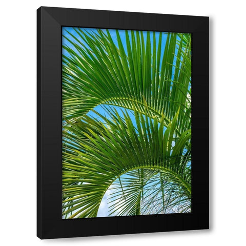 Palm fronds Black Modern Wood Framed Art Print by Engelbrecht, Lisa S.