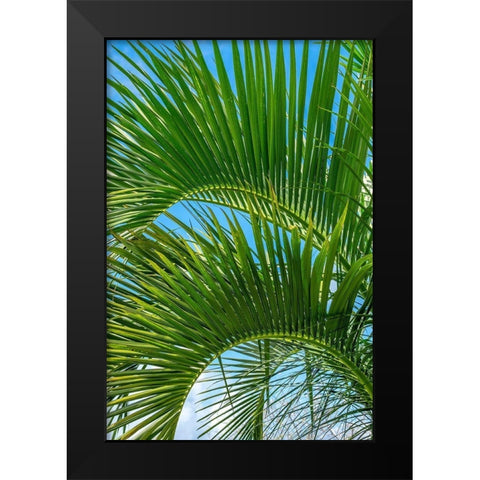 Palm fronds Black Modern Wood Framed Art Print by Engelbrecht, Lisa S.