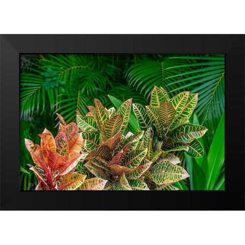 Palm fronds and Croton plants Black Modern Wood Framed Art Print by Engelbrecht, Lisa S.