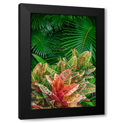 Palm fronds and Croton plants Black Modern Wood Framed Art Print by Engelbrecht, Lisa S.