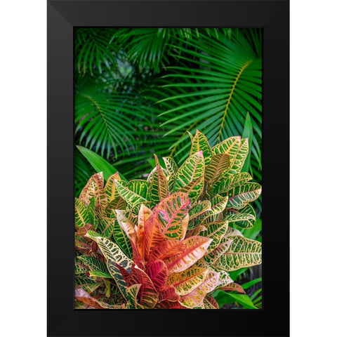 Palm fronds and Croton plants Black Modern Wood Framed Art Print by Engelbrecht, Lisa S.