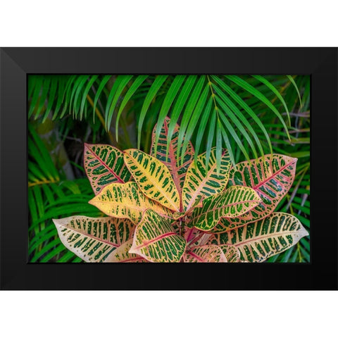 Palm fronds and Croton plants Black Modern Wood Framed Art Print by Engelbrecht, Lisa S.
