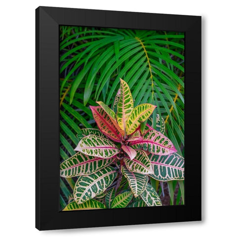 Palm fronds and Croton plants Black Modern Wood Framed Art Print by Engelbrecht, Lisa S.
