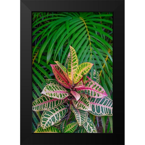 Palm fronds and Croton plants Black Modern Wood Framed Art Print by Engelbrecht, Lisa S.