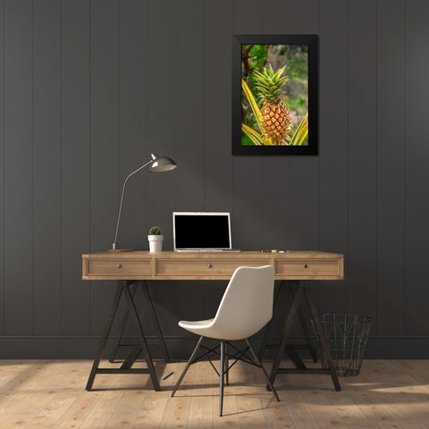 Pineapple plant Black Modern Wood Framed Art Print by Engelbrecht, Lisa S.