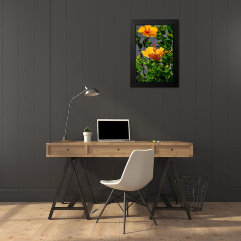 Yellow Hibiscus Black Modern Wood Framed Art Print by Engelbrecht, Lisa S.