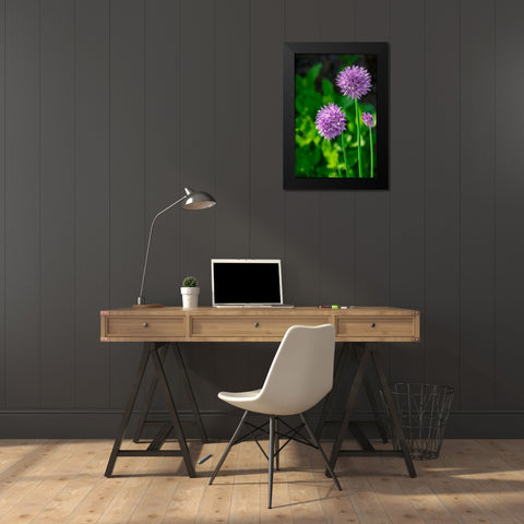 Chives Black Modern Wood Framed Art Print by Engelbrecht, Lisa S.