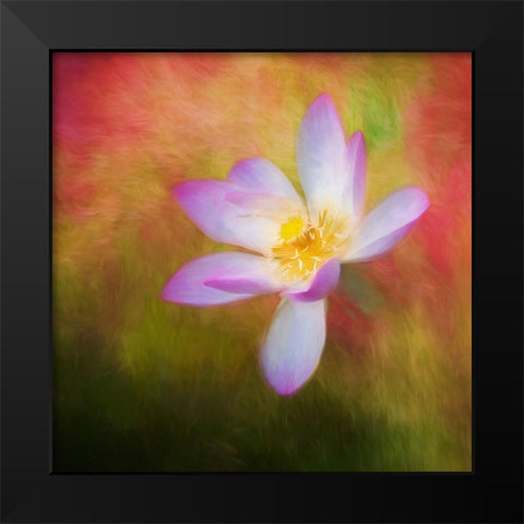 A photo painting of a waterlily Black Modern Wood Framed Art Print by Haddad, Sheila