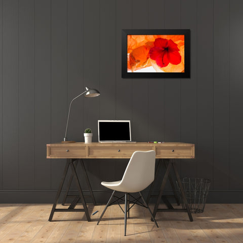 Hibiscus Flower and Tissue Paper with Light Black Modern Wood Framed Art Print by Beraldo, Zandina Muench