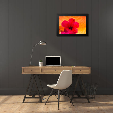 Hibiscus Flower and Tissue Paper with Light Black Modern Wood Framed Art Print by Beraldo, Zandina Muench