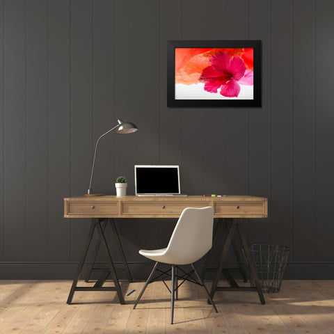 Hibiscus Flower and Tissue Paper with Light Black Modern Wood Framed Art Print by Beraldo, Zandina Muench
