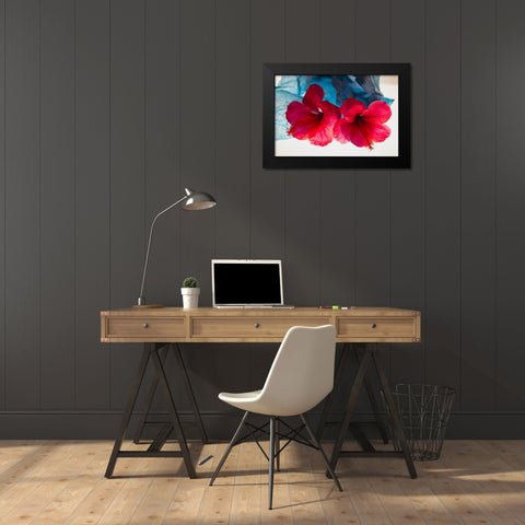 Hibiscus Flower and Tissue Paper with Light Black Modern Wood Framed Art Print by Beraldo, Zandina Muench