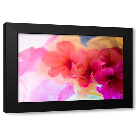 Hibiscus Flower and Tissue Paper with Light Black Modern Wood Framed Art Print by Beraldo, Zandina Muench